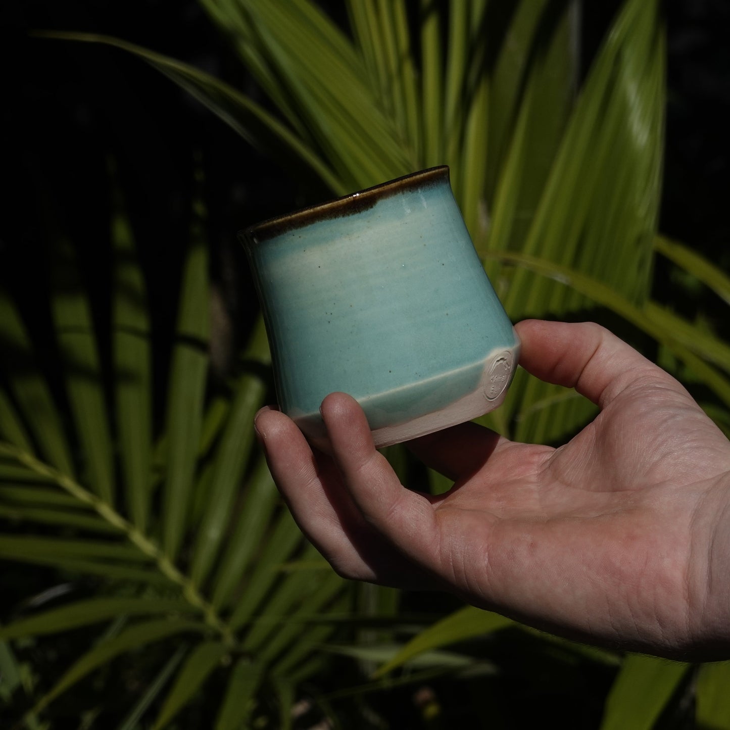 Takahe Tumblers