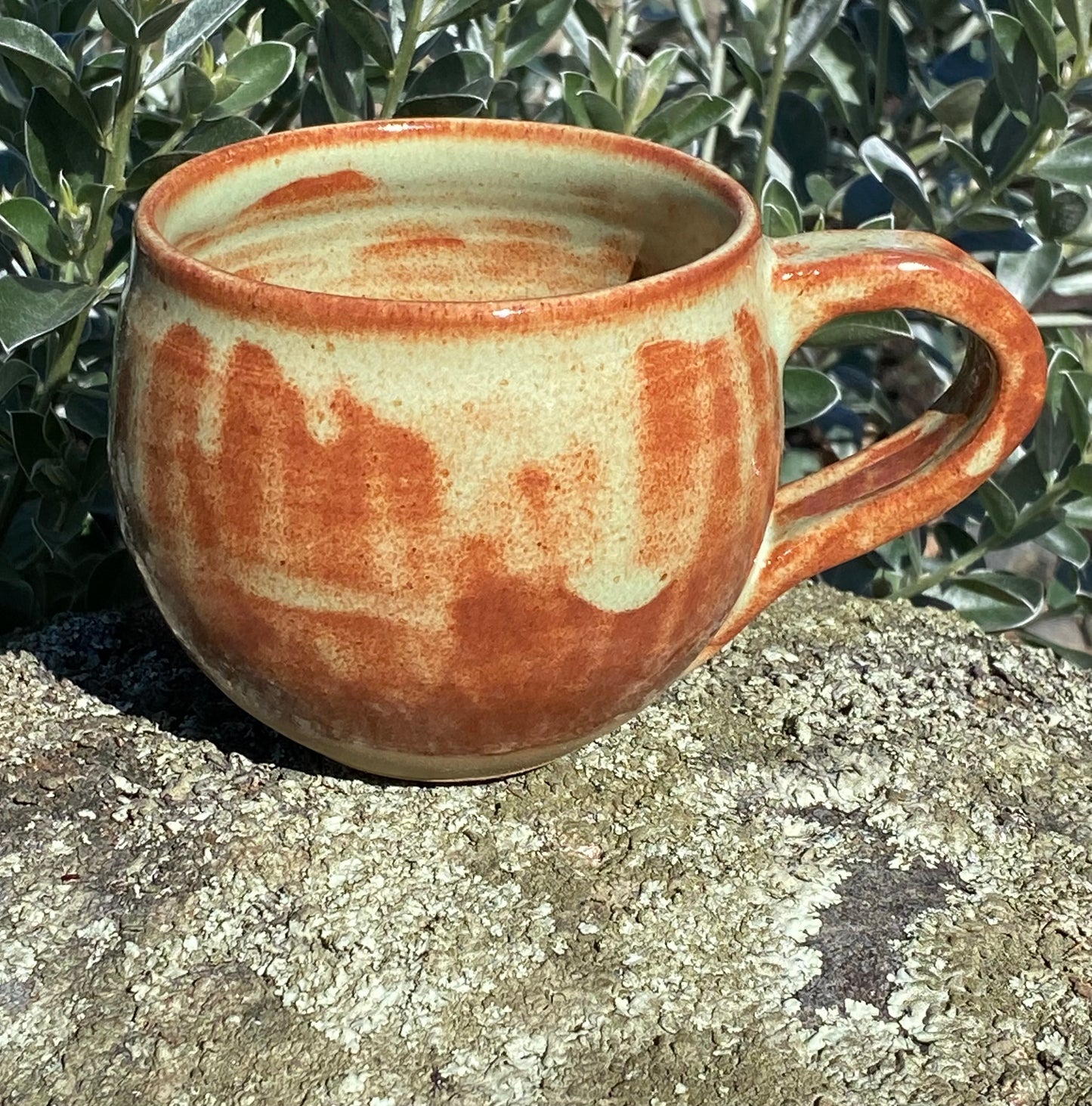 Pistachio Cup